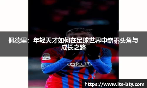 B体育官方网站